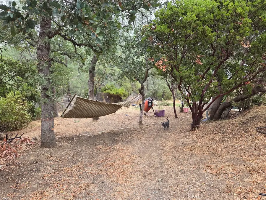 7036 Maverick, Corning, CA 96021 - Image #3