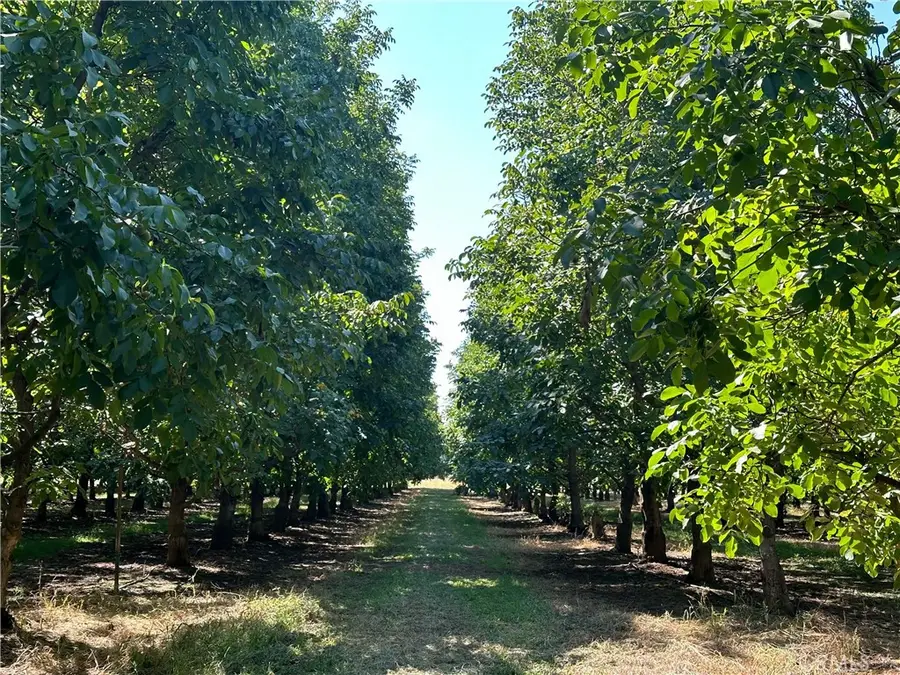 25040 63rd Avenue, Los Molinos, CA 96055 - #3