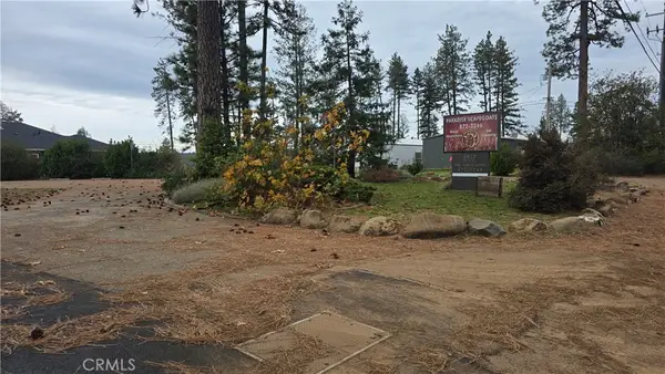 8917 Skyway, Paradise, CA 95969