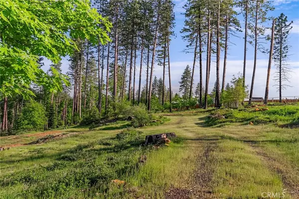 1694 Ryan Road, Paradise, CA 95969