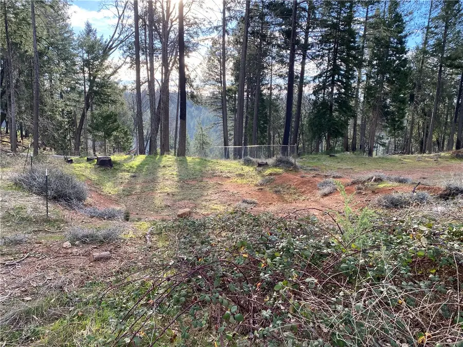 13734 Andover, Magalia, CA 95954 - #2