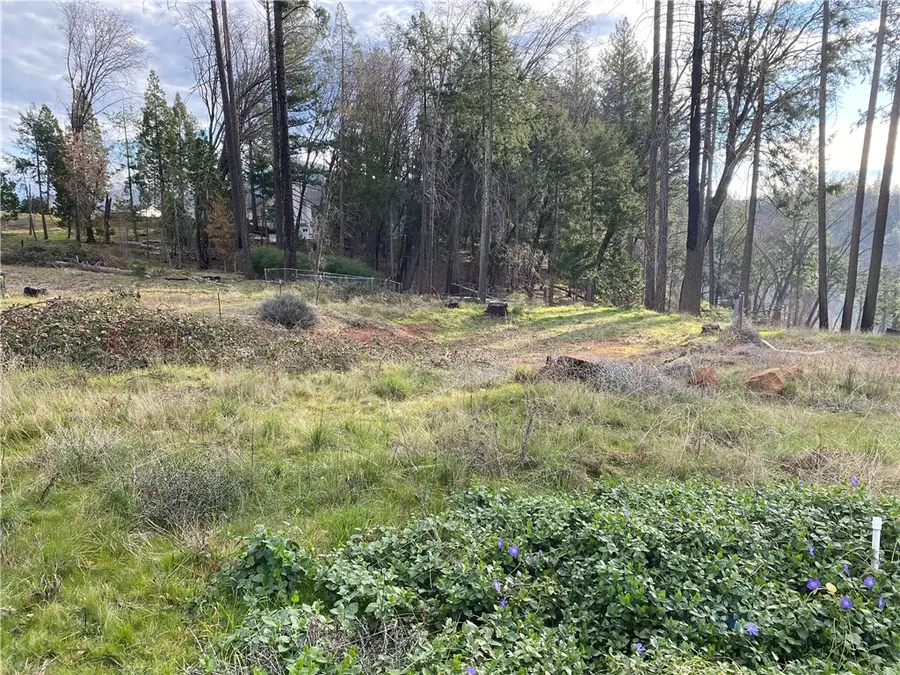 13734 Andover, Magalia, CA 95954 - #3