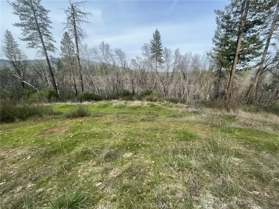 998 Encina Grande, Berry Creek, CA 95916 - #2