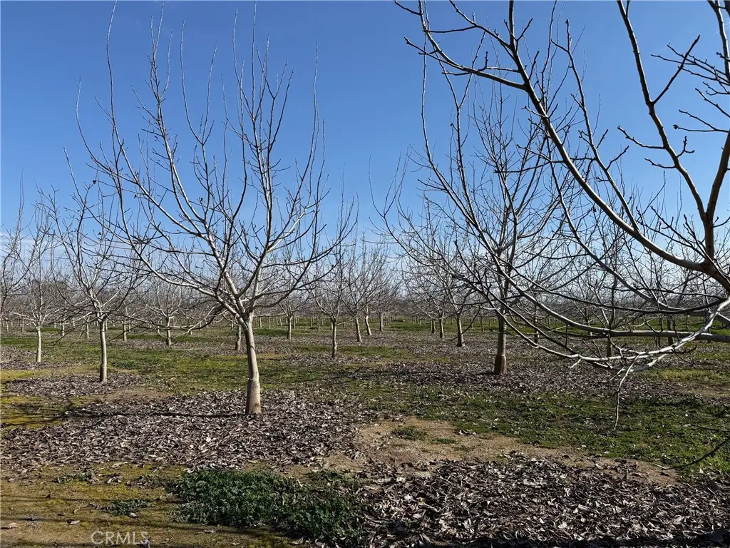 0 Mcfadden Lane, Chico, CA 95928 - Image #1