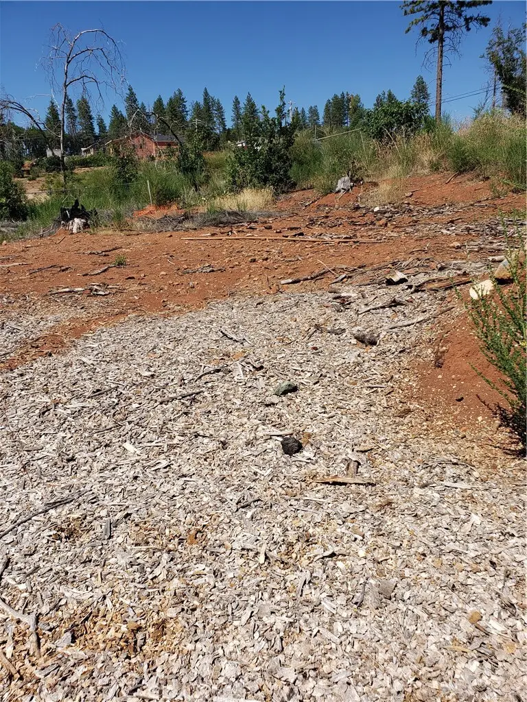 1591 Grey Squirrel, Paradise, CA 95969 - #1