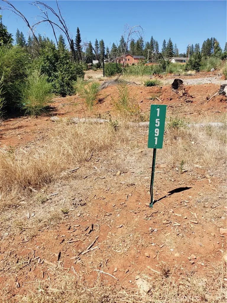 1591 Grey Squirrel, Paradise, CA 95969 - #2