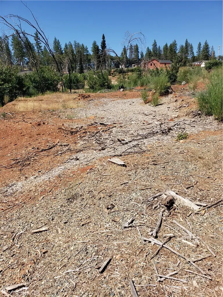 1591 Grey Squirrel, Paradise, CA 95969 - #3