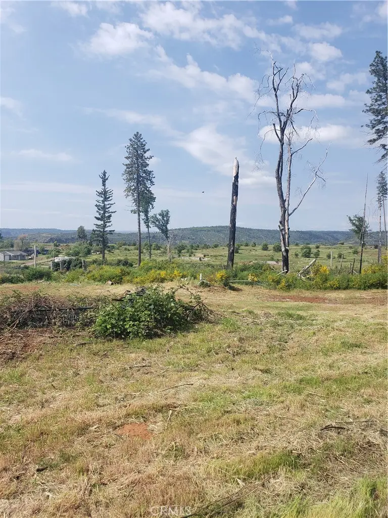 6378 Murray Lane, Paradise, CA 95969 - #3