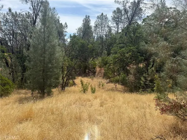 16295 Hillcrest Drive, Corning, CA 96021