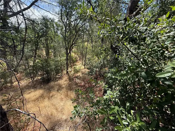 16305 Hillcrest Drive, Corning, CA 96021