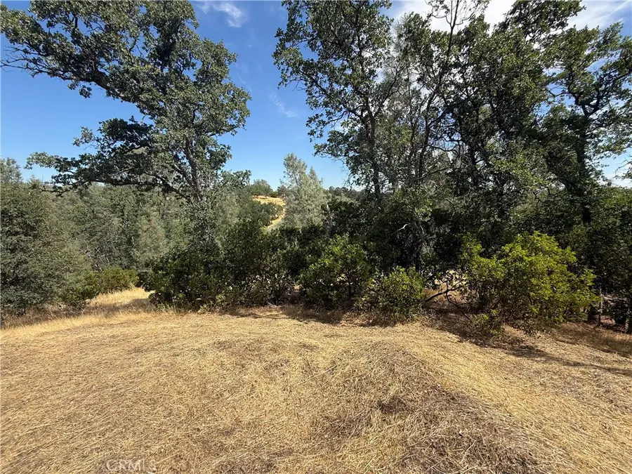 16318 Longhorn Lane, Corning, CA 96021 - #2