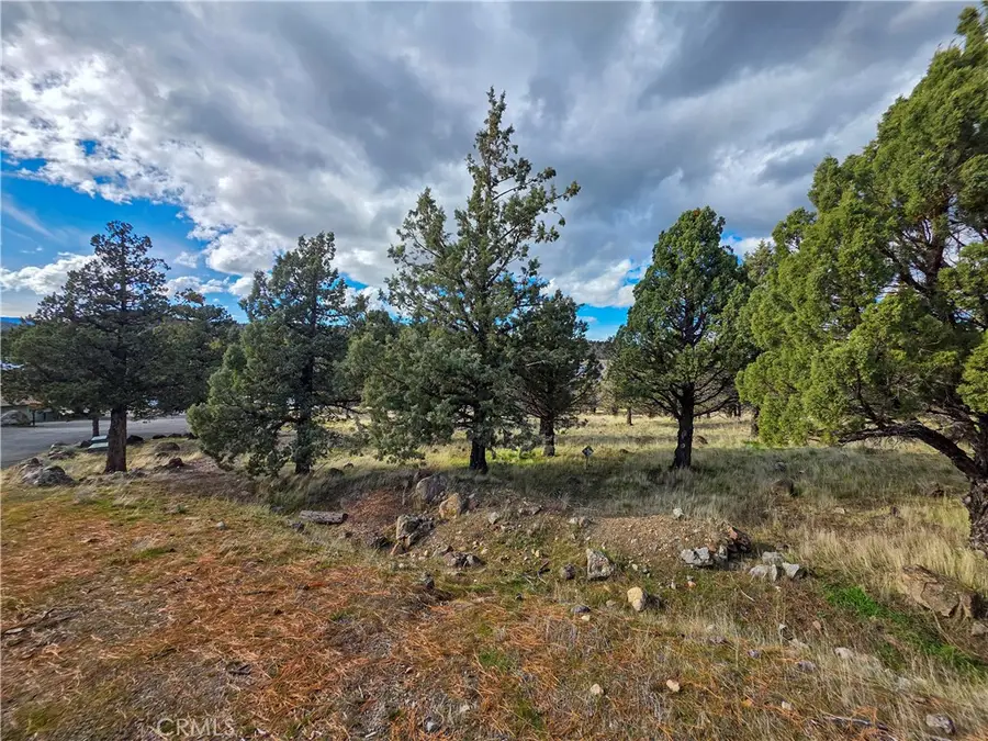 0 Driftwood, Weed, CA 96094 - #3