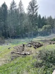 178 Bloomer Hill Rd, Berry Creek, CA 95916