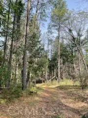 178 Bloomer Hill Rd, Berry Creek, CA 95916 - #3