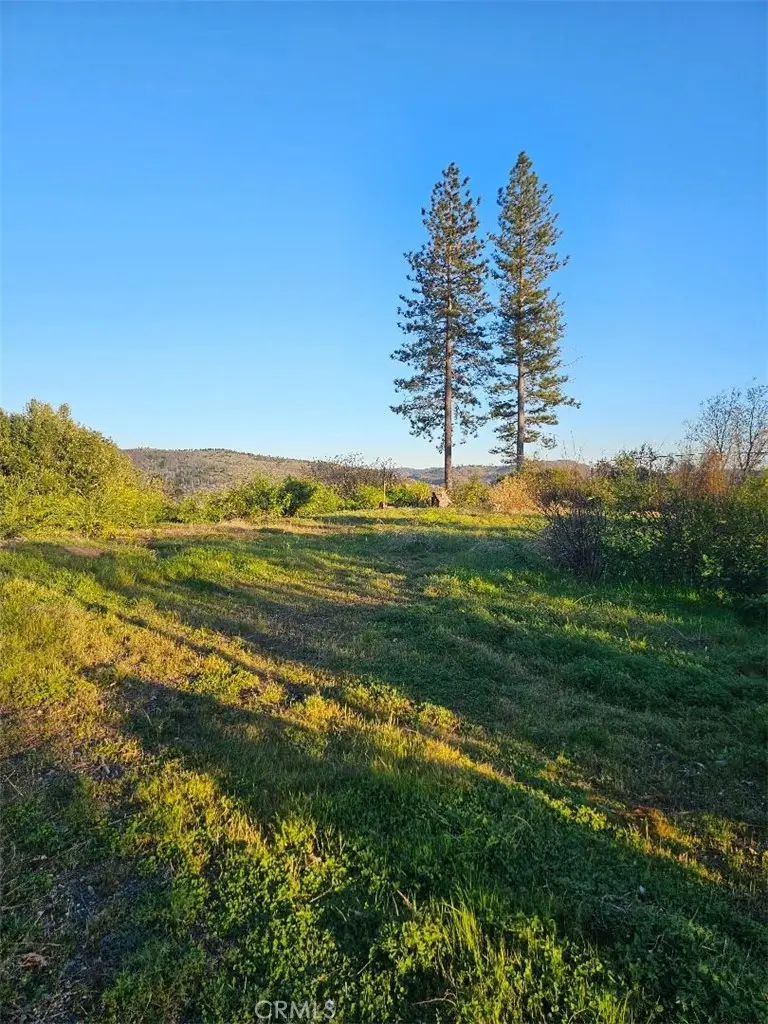 13664 Skyway, Magalia, CA 95954 - #1