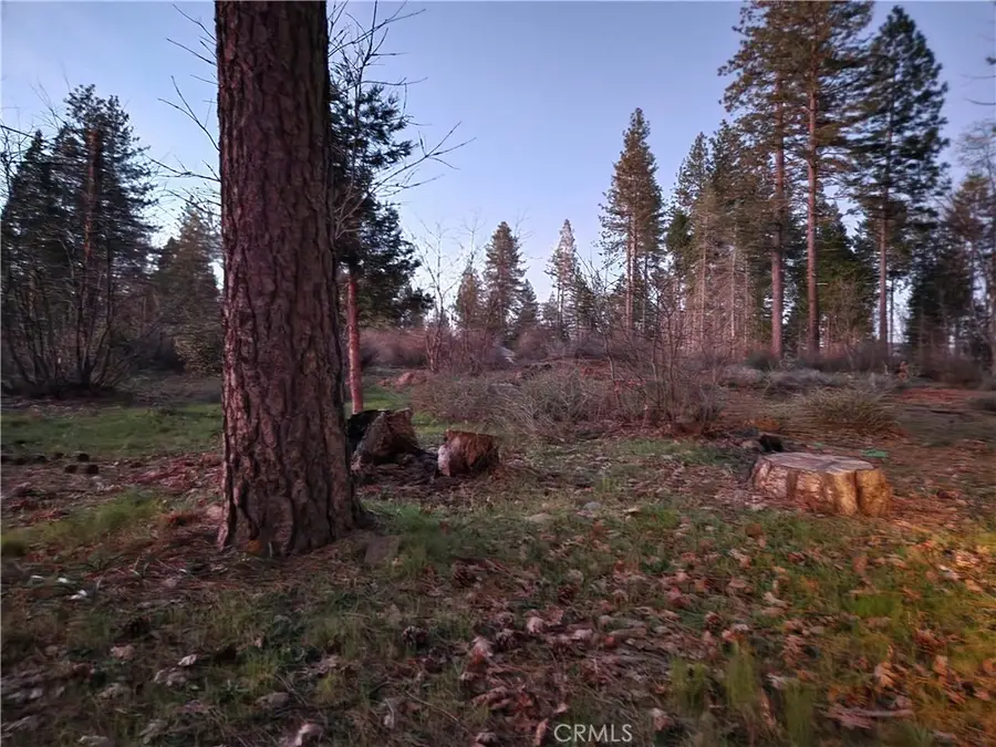 14302 Skyway, Magalia, CA 95954 - #2