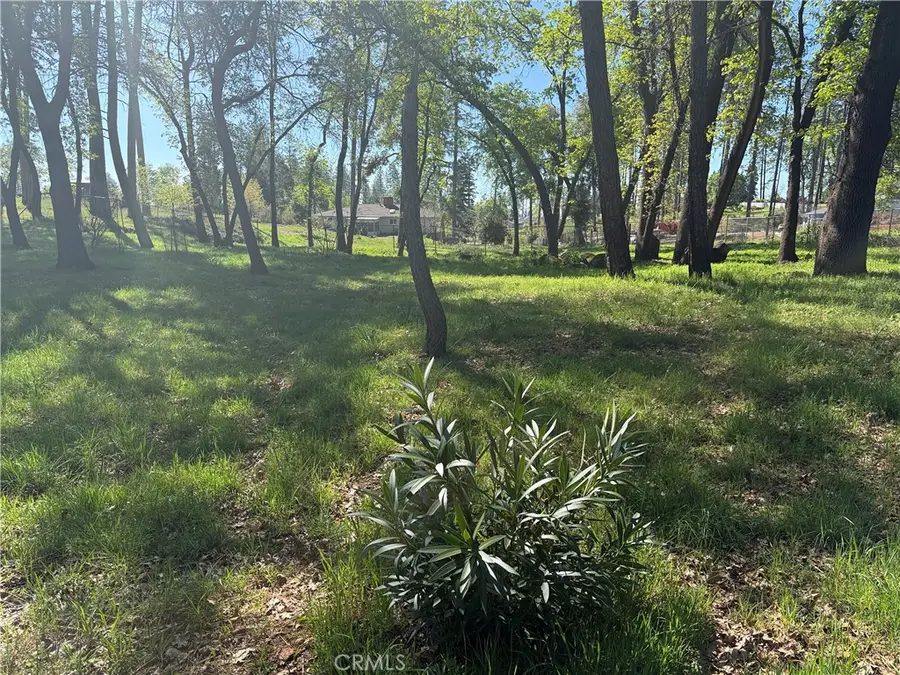 1600 Sawpeck, Paradise, CA 95969 - #2