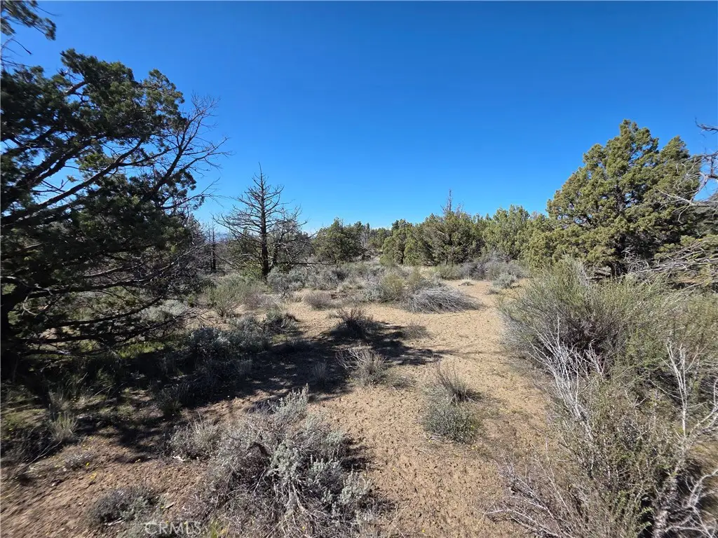 39 Blk 8 Lot 39 Katrina Dr Drive, Montague, CA 96064 - #1