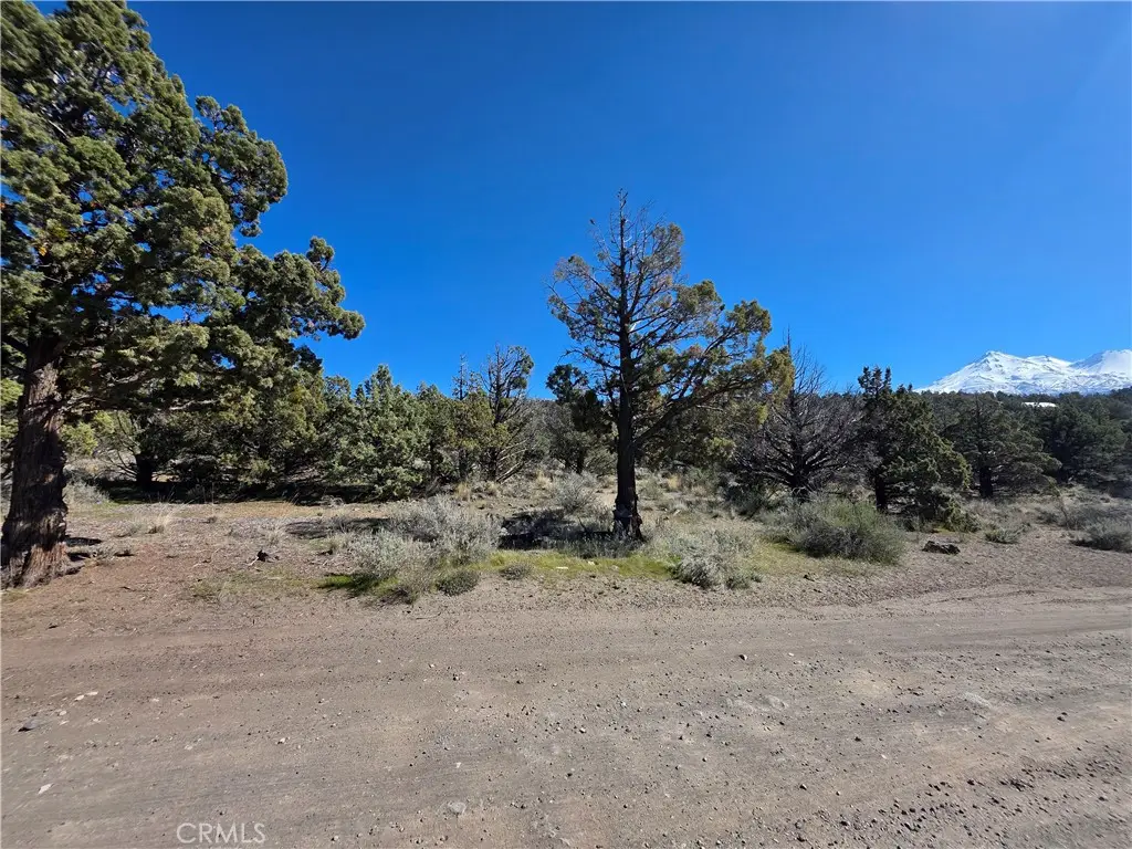 38 Blk 8 Lot 38 Karina Dr, Montague, CA 96064 - #1