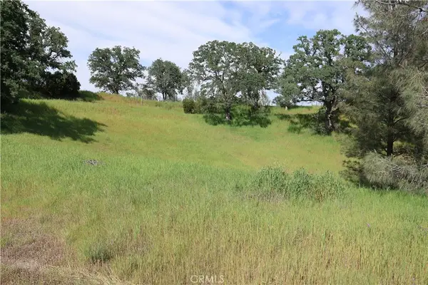 7325 Bluebird Rd., Corning, CA 96021