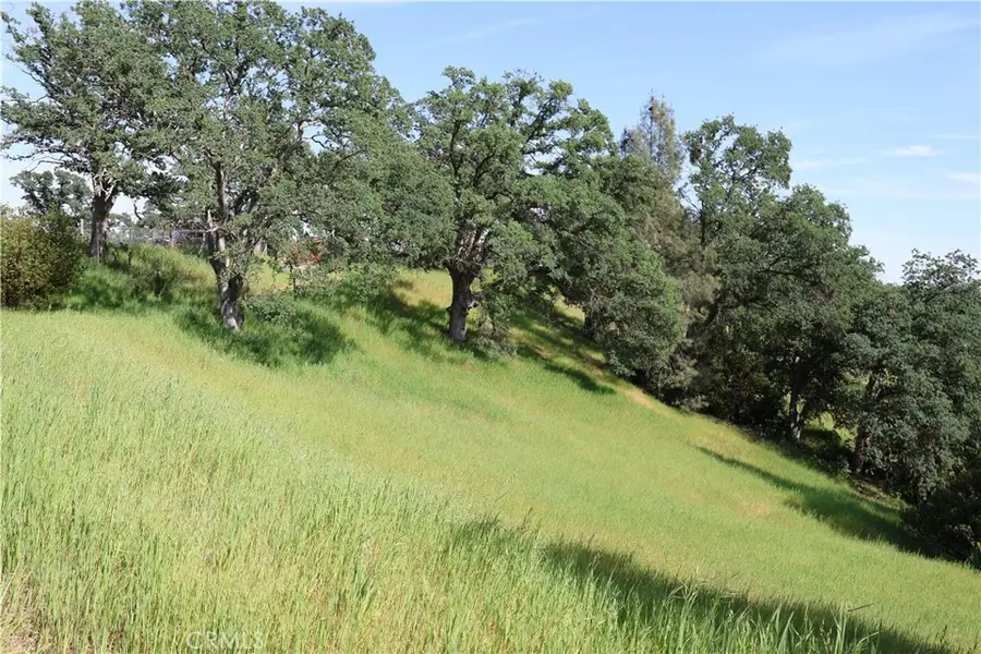 7325 Bluebird Rd., Corning, CA 96021 - #2