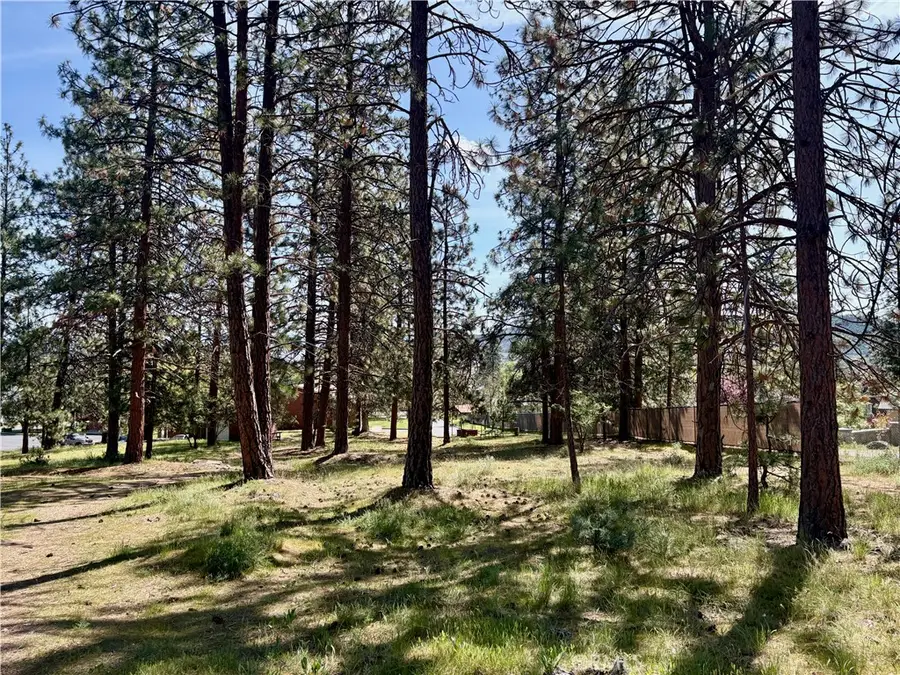 0 S Lang Way, Yreka, CA 96097 - #2