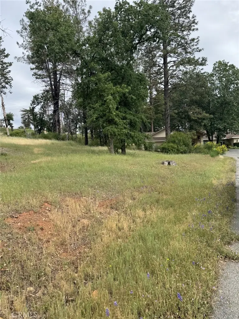 49 Carli, Paradise, CA 95969 - #1