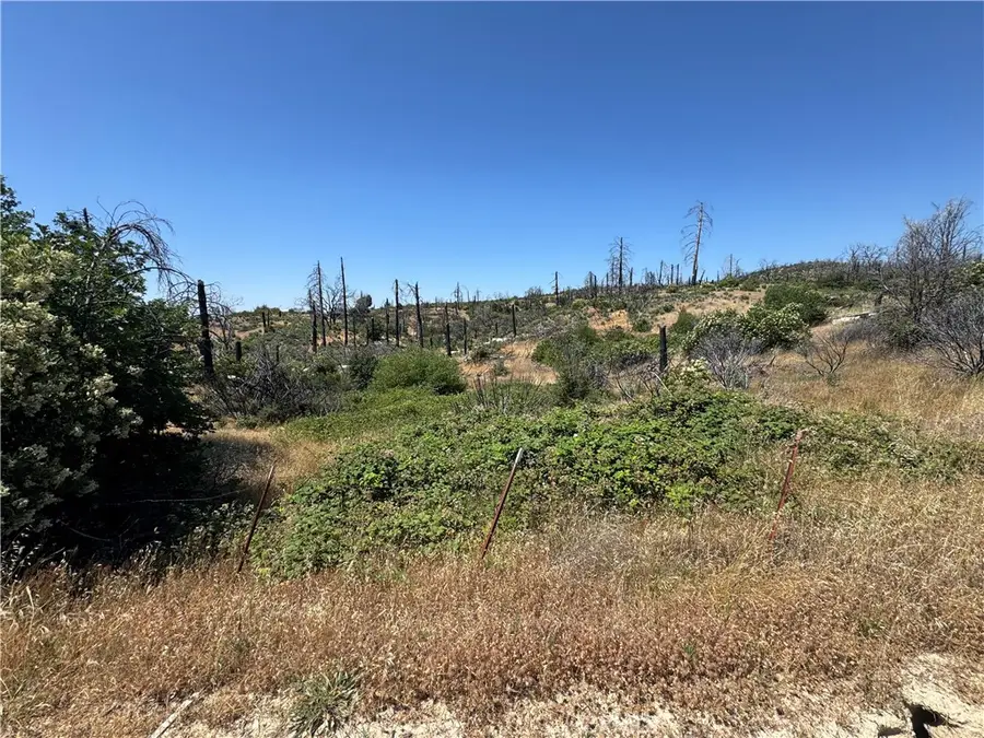 0 Sierra View, Berry Creek, CA 95916 - #3