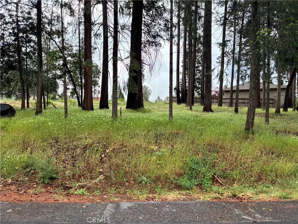 0 Pineland Circle, Magalia, CA 95954 - #1