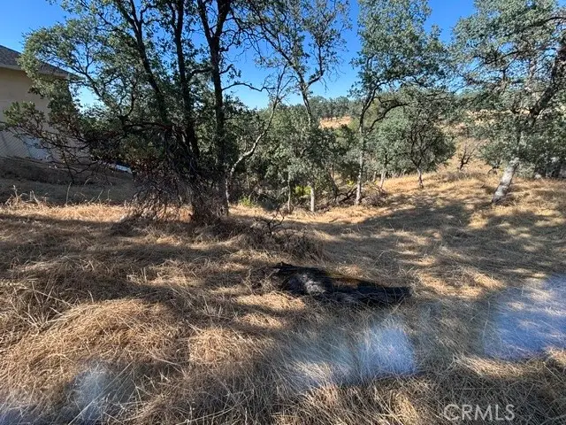 19932 Freshwater Drive, Cottonwood, CA 96022 - #1