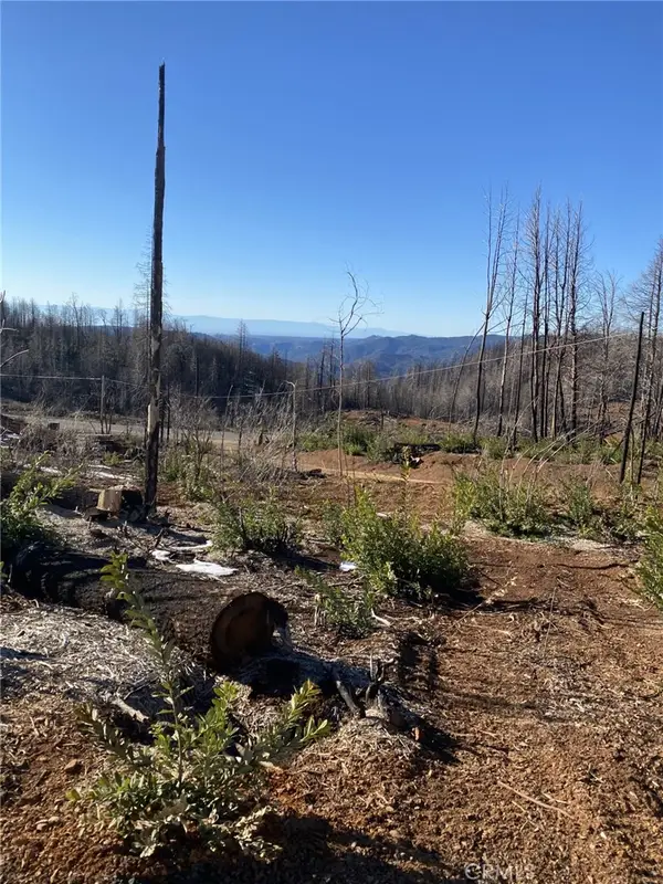 45 Fox Hill, Berry Creek, CA 95916