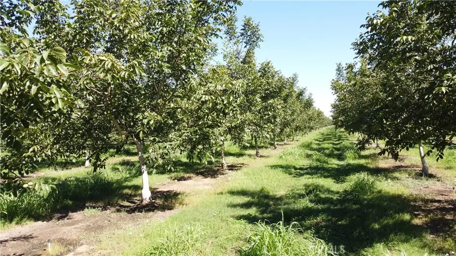 6514 County Road 8, Orland, CA 95963 - #2