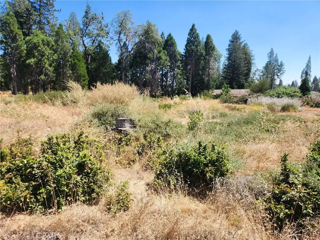 13744 W Park, Magalia, CA 95954 - #1