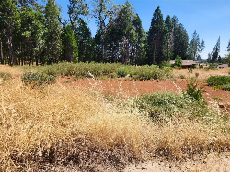 13744 W Park, Magalia, CA 95954 - #2