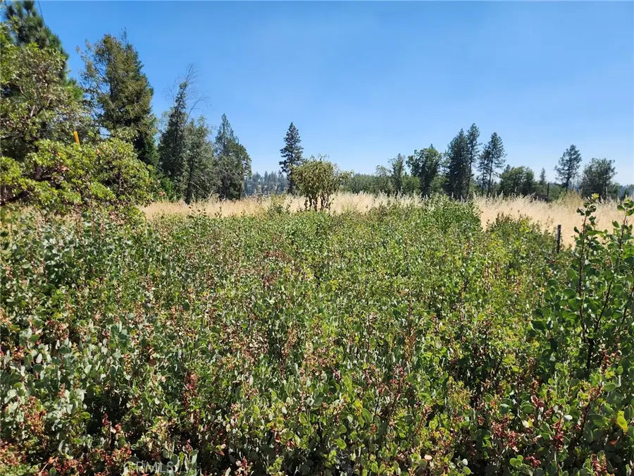 13602 Andover, Magalia, CA 95954 - #2