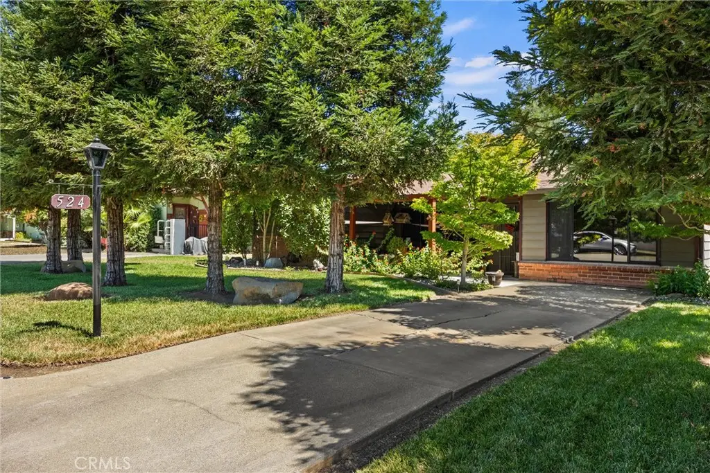 524 Adams, Willows, CA 95988 - #1