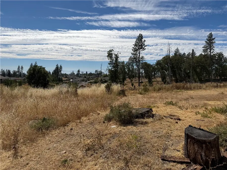 7809 Skyway, Paradise, CA 95969 - #3
