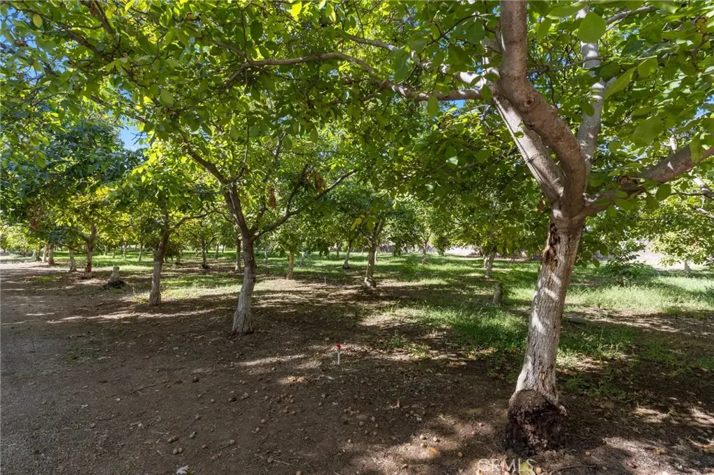 3720 Cosby Avenue, Chico, CA 95928 - #1