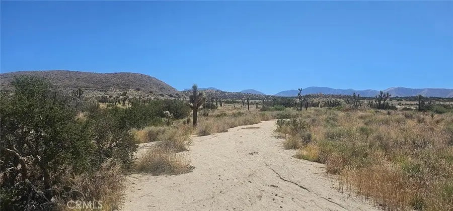 #2