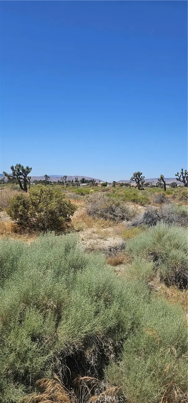 0 E Palmdale Boulevard, Palmdale, CA 93550 - #3
