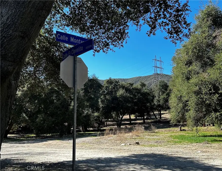 0 Calle El Clavelito/3227016011, Green Valley, CA 91390 - #3