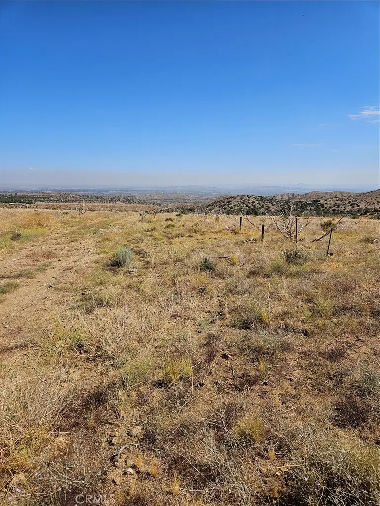 118 E Avenue S, Juniper Hills, CA 93543 - Image #3