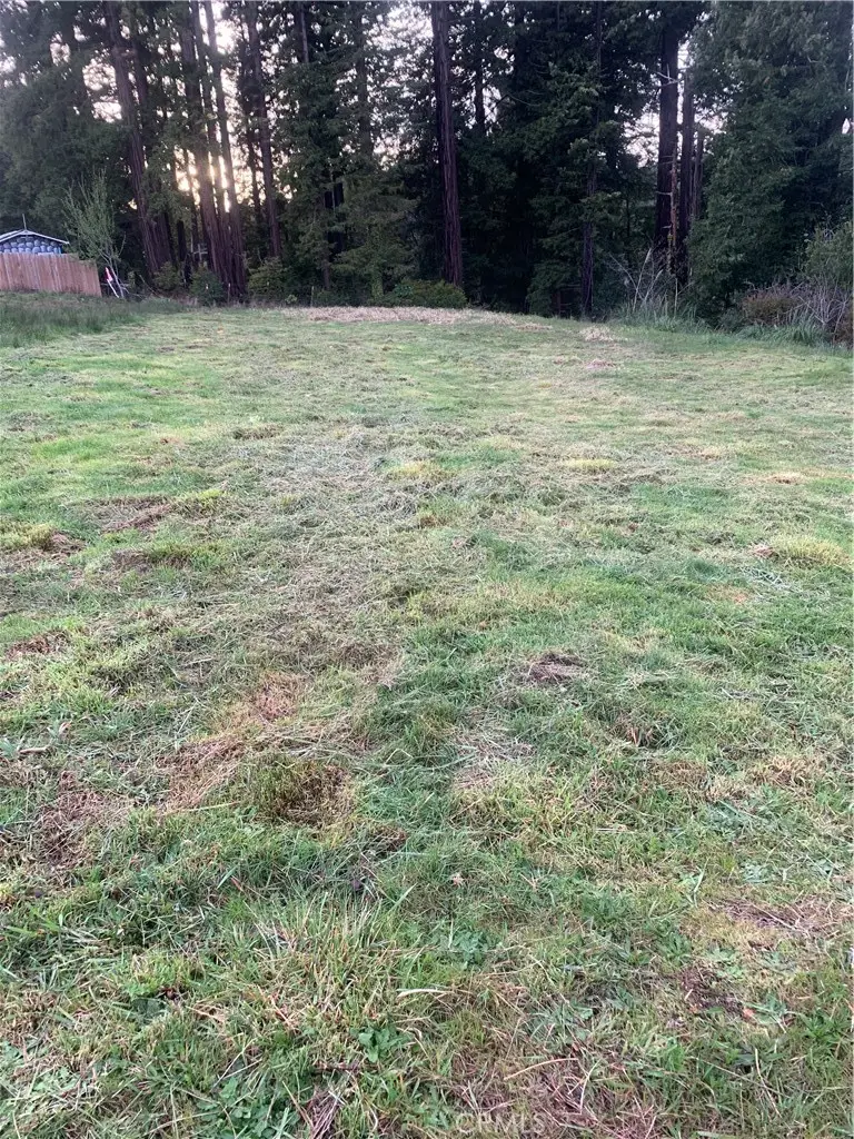 0 Brogan, Eureka, CA 95503 - #3