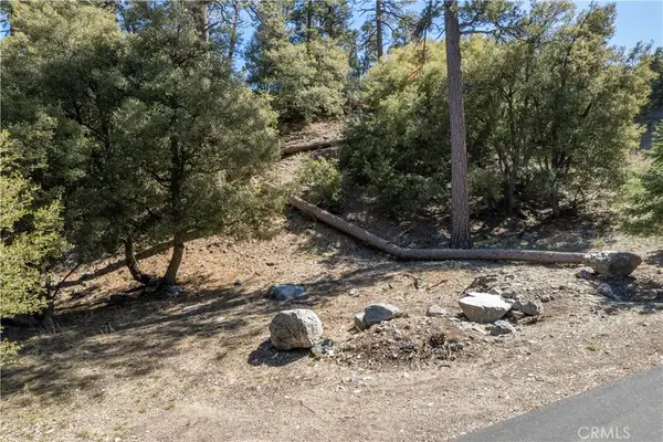 1300 Banff Drive, Pine Mountain Club, CA 93222