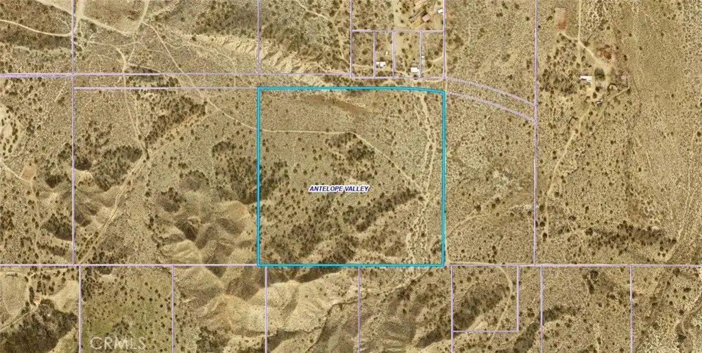 0 Vic X12 Street, Pearblossom, CA 93553 - #1