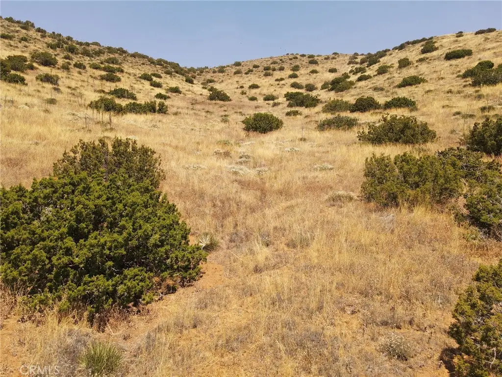 0 Valleysage Road, Agua Dulce, CA 91350 - #1