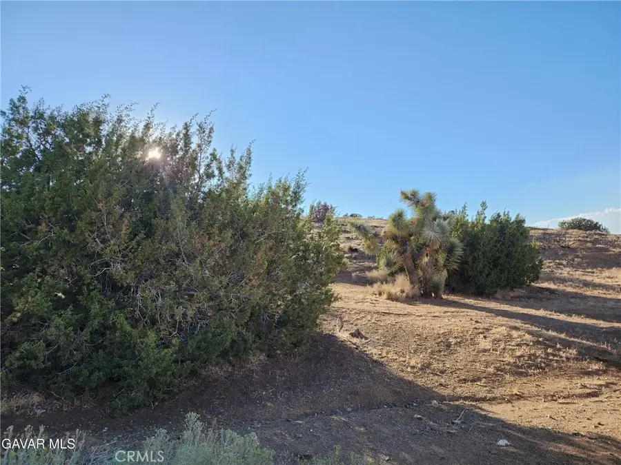 0 Vac/vic Ave L8/55th Street E, Lake Hughes, CA 93532 - #2