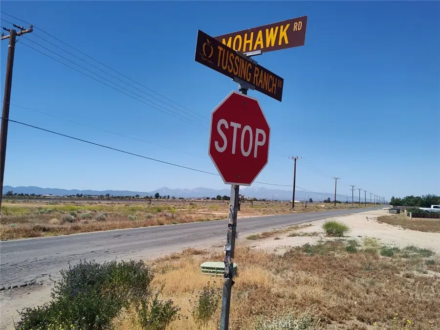 0 Boxwood Street, Apple Valley, CA 92308 - #3