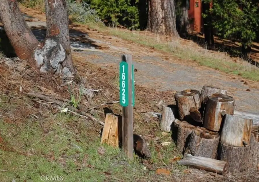 16625 Alpine Lane, Pioneer, CA 95666 - Image #2