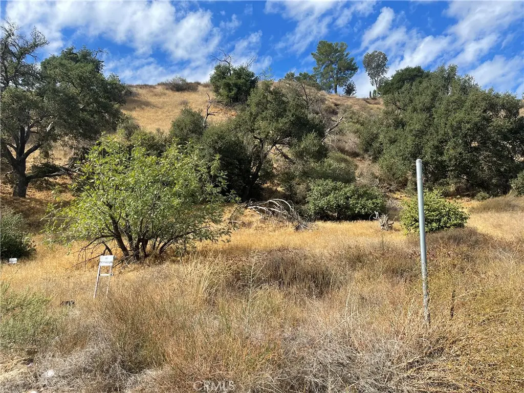 0 Chiquita Canyon Rd, Val Verde, CA 91384 - #1